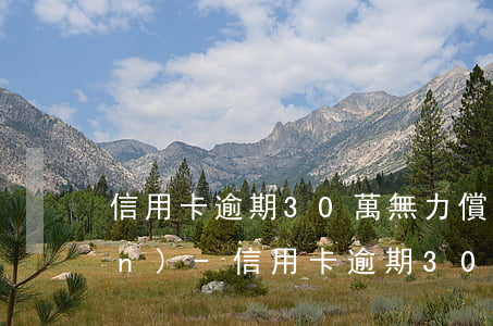 信用卡逾期30萬,無力償還,無資產(chǎn)-信用卡逾期30萬,無力償還,無資產(chǎn)怎么辦