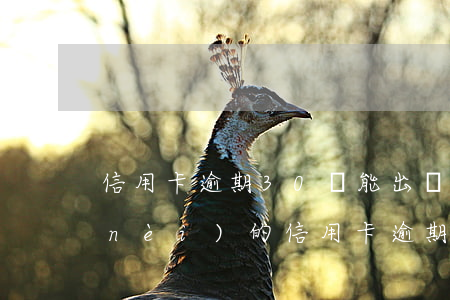 信用卡逾期30萬能出國嗎(出國以后國內(nèi)的信用卡逾期還能回國嗎)