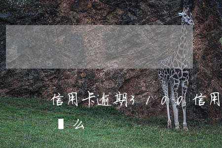 信用卡逾期3100(信用卡逾期31天能解凍么)
