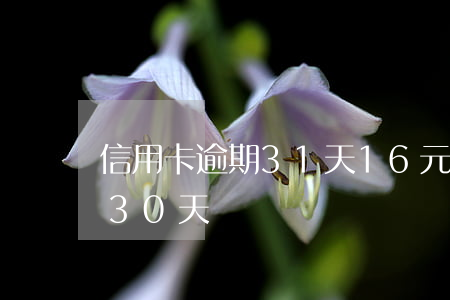 信用卡逾期31天16元(信用卡逾期1天和30天)