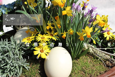 信用卡逾期31天16元（信用卡逾期31天16元）