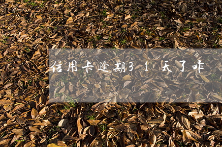 信用卡逾期31天了咋辦(信用卡逾期30天)