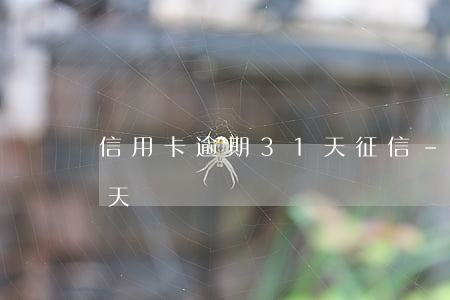 信用卡逾期31天征信-信用贷款逾期30天