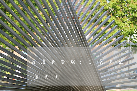信用卡逾期31天怎么辦(信用卡逾期26天后果怎樣)
