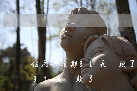 信用卡逾期31天還款了會怎樣（信用卡逾期31天還款了）