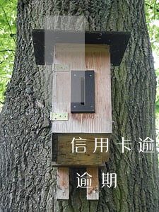 信用卡逾期330天(信用卡逾期330天算逾期嗎)
