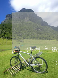 信用卡逾期35萬不失聯(lián)沒有錢還-信用卡逾期35萬不失聯(lián)沒有錢還怎么辦