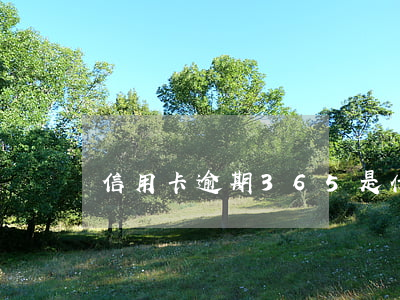 信用卡逾期365是什么意思