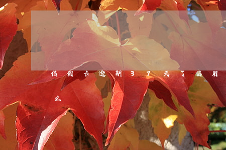 信用卡逾期37天了(信用卡逾期37天了怎么辦)
