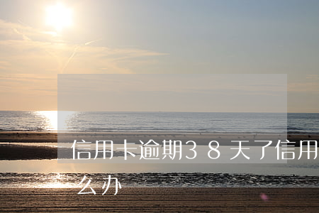 信用卡逾期38天了(信用卡逾期38天了怎么办)