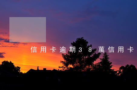 信用卡逾期38萬 信用卡逾期38萬