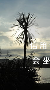 信用卡逾期3万坐多久牢-3千信用卡逾期会坐牢吗