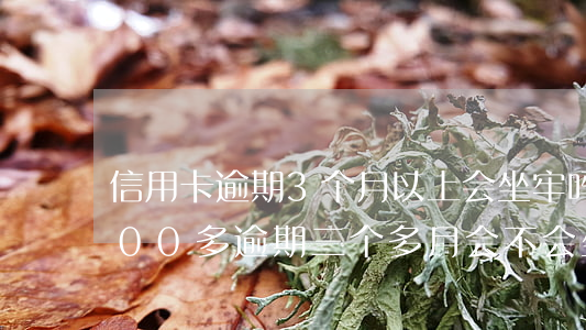 信用卡逾期3个月以上会坐牢吗(信用卡4000多逾期三个多月会不会坐牢)