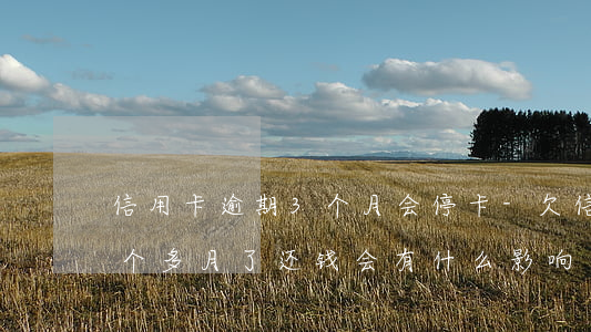 信用卡逾期3个月会停卡-欠信用卡逾期三个多月了还钱会有什么影响