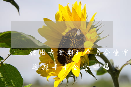 信用卡逾期3个月会坐牢么-几万的信用卡逾期半年会坐牢吗?