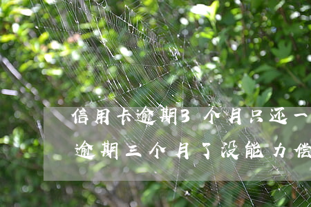 信用卡逾期3个月只还一点点 三万的信用卡逾期三个月了,没能力偿还