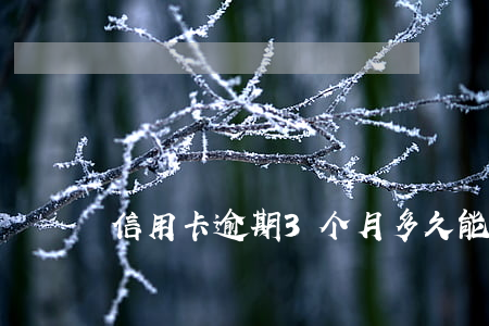 信用卡逾期3个月多久能再用