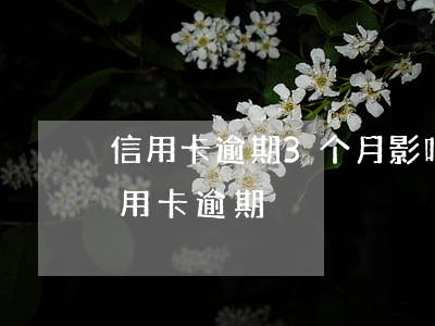 信用卡逾期3个月影响征信吗(征信有三个信用卡逾期)