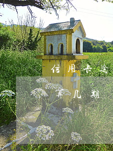 信用卡逾期3个月算几期(信用卡逾期3个月算几期)