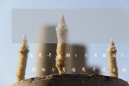 信用卡逾期3个月解冻几率大么(建设银行逾期两个月信用卡被冻结可以用吗)