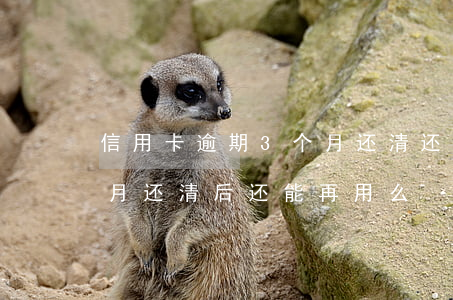 信用卡逾期3个月还清还可以用吗(逾期三个月还清后还能再用么)