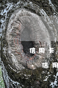 信用卡逾期3個(gè)多月還不上怎么辦-信用卡逾期3個(gè)多月還不上怎么辦呢