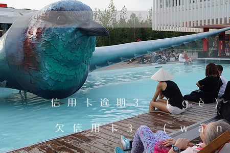 信用卡逾期3個(gè)月3萬(wàn)(欠信用卡3萬(wàn)逾期三個(gè)月)