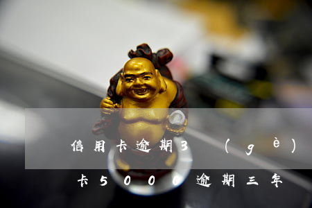 信用卡逾期3個(gè)月5000元(信用卡5000逾期三年現(xiàn)在還多少)