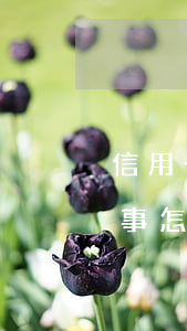 信用卡逾期3個(gè)月也沒(méi)事怎么辦理(信用卡q逾期三個(gè)月立案怎么辦)