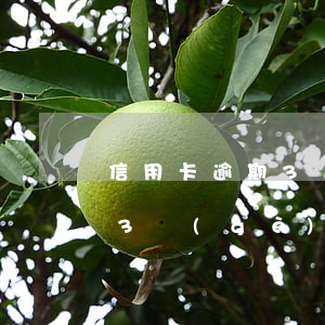 信用卡逾期3個(gè)月以上(信用卡逾期3個(gè)月以上還完能解凍嗎?)