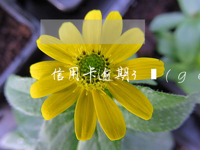 信用卡逾期3個(gè)月利息是多少