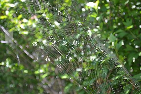 信用卡逾期3個(gè)月卡凍結(jié)(信用卡逾期三個(gè)月被凍結(jié)還完款后能解凍嗎)