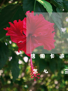 信用卡逾期3個(gè)月后會(huì)怎么樣(三個(gè)月信用卡逾期后果)