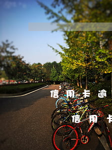 信用卡逾期3個(gè)月嚴(yán)重嗎(信用卡逾期三月嚴(yán)重嗎)