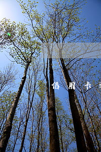 信用卡逾期3個(gè)月多久能再用