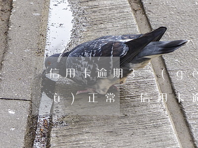 信用卡逾期3個(gè)月多久能恢復(fù)正常-信用卡逾期3個(gè)月多久能恢復(fù)正常使用
