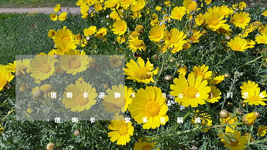 信用卡逾期3個(gè)月怎么解凍(逾期后信用卡異常多久解除)