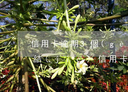 信用卡逾期3個(gè)月會(huì)凍結(jié)(信用卡逾期3個(gè)月會(huì)凍結(jié))
