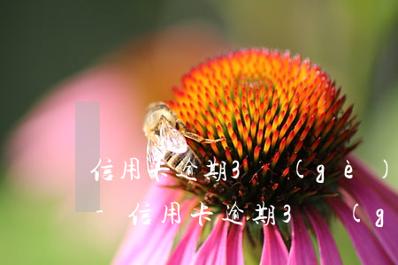 信用卡逾期3個(gè)月會被起訴立案嗎-信用卡逾期3個(gè)月會被起訴立案嗎知乎