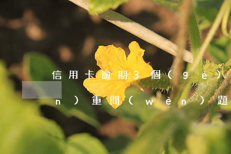 信用卡逾期3個(gè)月有什么嚴(yán)重問(wèn)題-信用卡逾期3個(gè)月有什么嚴(yán)重問(wèn)題嗎