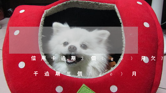 信用卡逾期3個(gè)月欠7萬(信用卡7千逾期三個(gè)月)