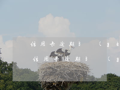 信用卡逾期3個(gè)月每月還100-信用卡逾期3個(gè)月每月還100元
