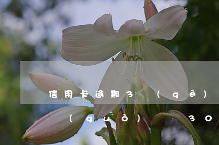信用卡逾期3個(gè)月沒(méi)接過(guò)電話3000-信用卡逾期3個(gè)月沒(méi)接過(guò)電話3000塊錢(qián)