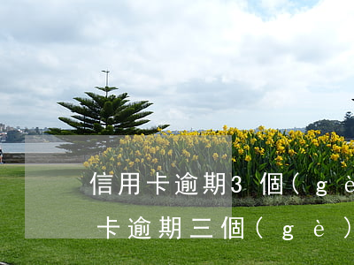 信用卡逾期3個(gè)月然后再還(欠信用卡逾期三個(gè)多月了還錢會(huì)有什么影響)