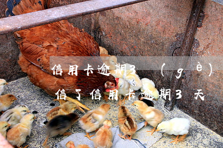 信用卡逾期3個(gè)月發(fā)律師信了(信用卡逾期3天)