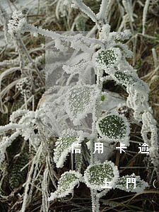 信用卡逾期3個(gè)月真的會(huì)上門(mén)嘛(好幾張信用卡逾期了3個(gè)月會(huì)怎么樣)