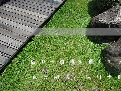 信用卡逾期3個(gè)月能協(xié)商分期嗎-信用卡逾期3個(gè)月能協(xié)商分期嗎