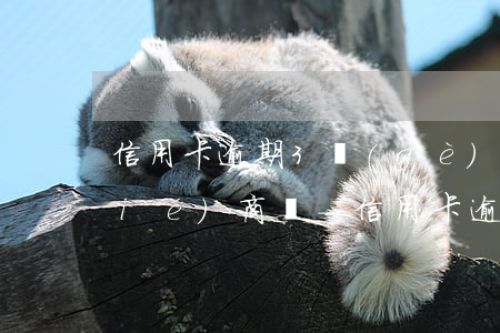 信用卡逾期3個(gè)月能和銀行協(xié)商嗎-信用卡逾期3個(gè)月能和銀行協(xié)商嗎