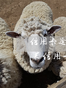 信用卡逾期3個(gè)月被起訴有什么后果(信用卡逾期三個(gè)月會(huì)起訴嗎)