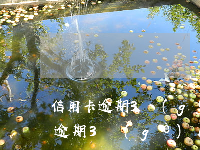 信用卡逾期3個(gè)月被起訴的(信用卡逾期3個(gè)月被起訴的多嗎)
